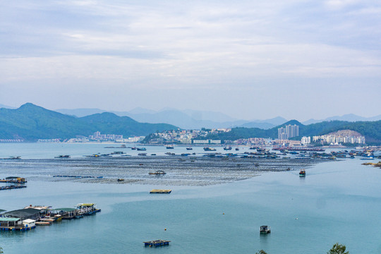 海洋海产鱼排养殖