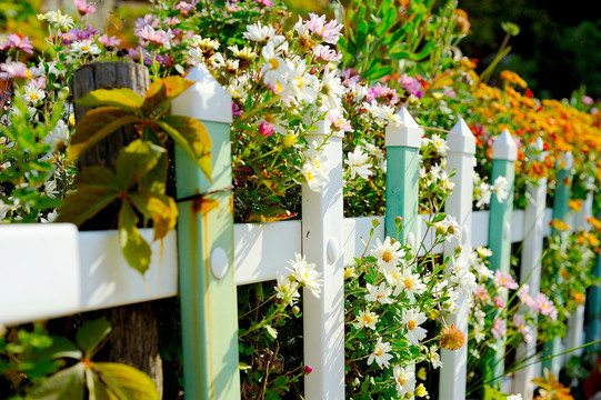 花坛护栏