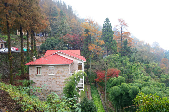 莫干山森林别墅