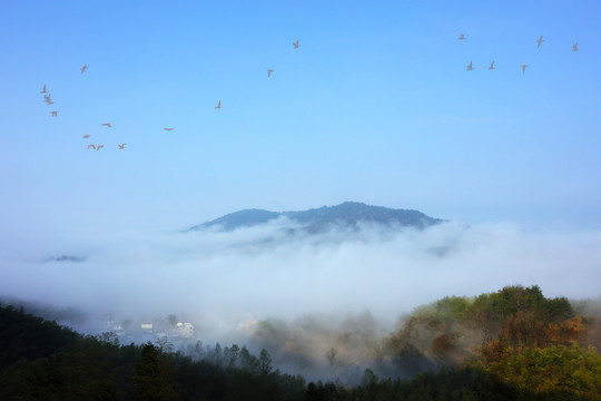 皖南协理风光