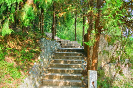 登山步道高清大图