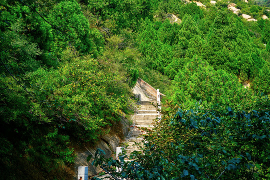 登山步道高清大图