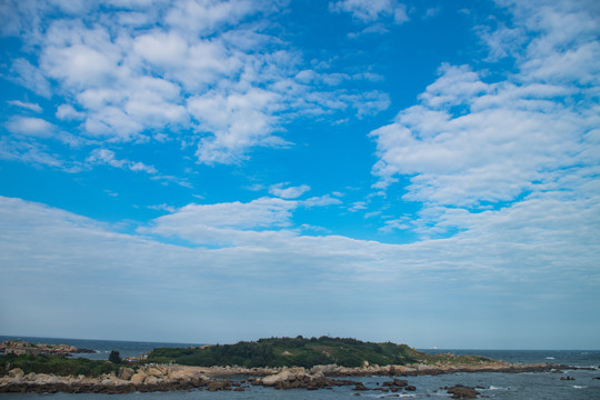 惠来海边客鸟尾