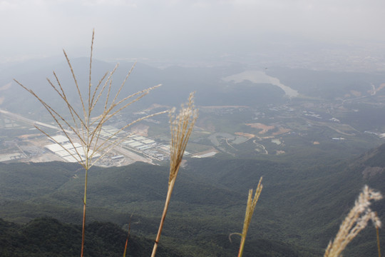 东莞第一峰