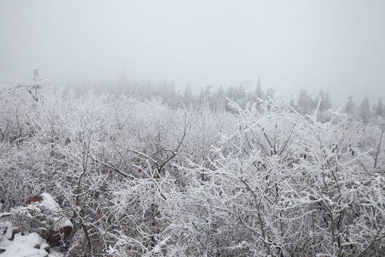 高原雪景