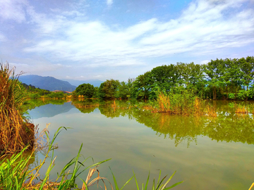 乡村河畔风景