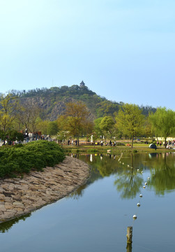 上海辰山植物园风光