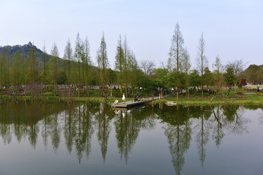 上海辰山植物园