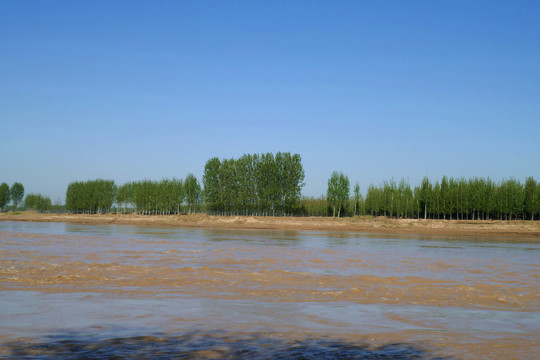 黄河水