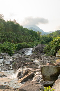 海南白马岭热带雨林森林保护区