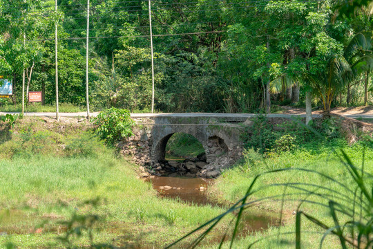 海南生态小山村