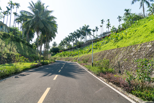 海南牛路岭自然风光