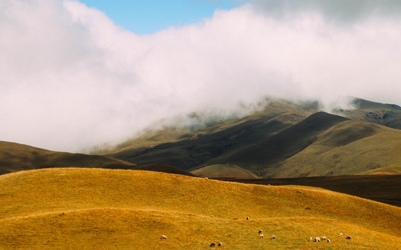 山丘草原风景