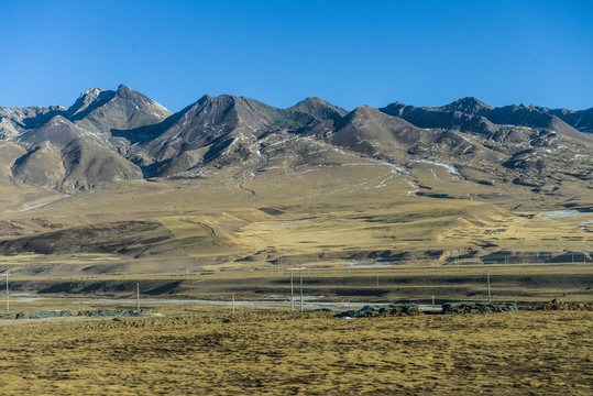 高寒草场