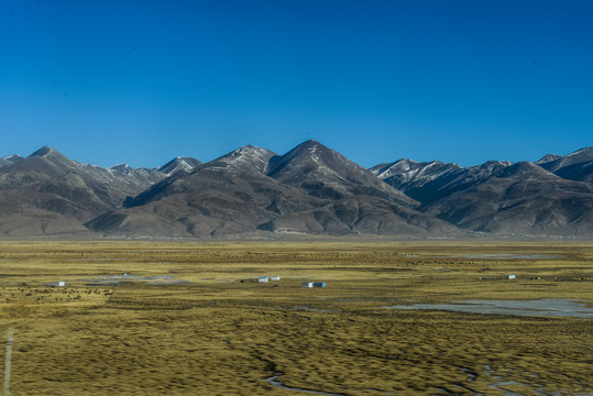 高寒草场