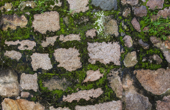 苔藓石头墙