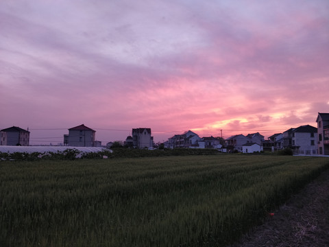 夕阳