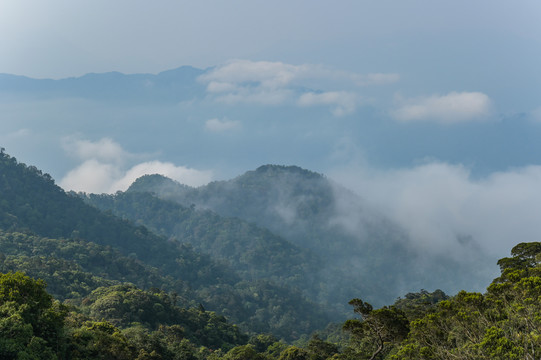 越南岘港巴拿山