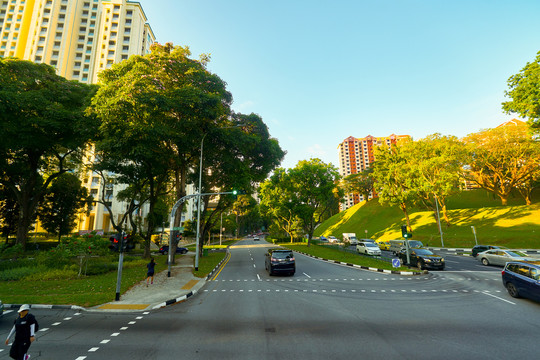 双层巴士上层往外看的城市街景