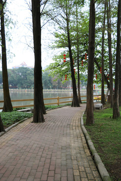 茂名新湖公园景观