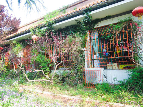 被植物包裹的小屋