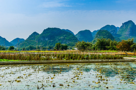 美丽乡村