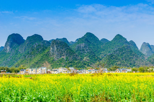 油菜花田园风光