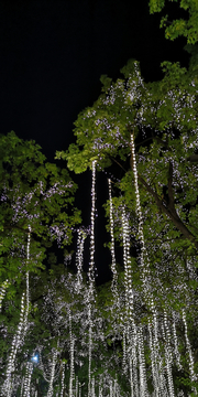 大雁塔夜景