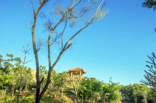 泉州大坪山风光