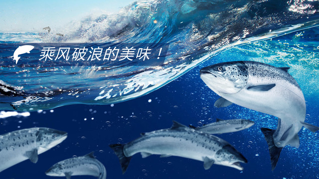 海浪里的三文鱼