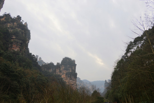 武陵源十里画廊山谷风光