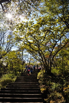 黄山登山路