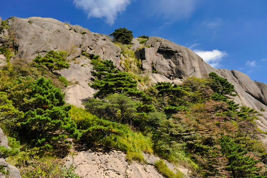 黄山风景