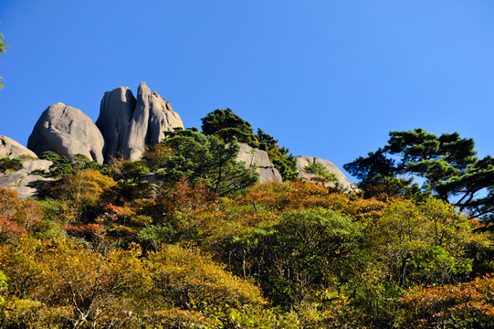 黄山风景