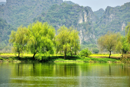 春天山水景观