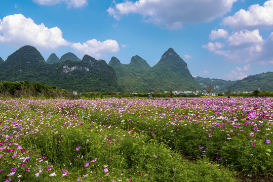 花海田园