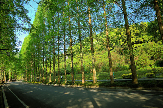 旅游公路