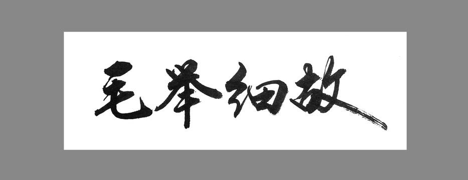 毛舉細(xì)故