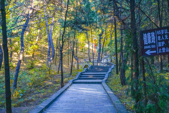 登山步道高清大图