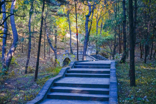 登山步道高清大图