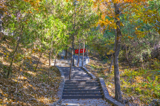 登山步道高清大图