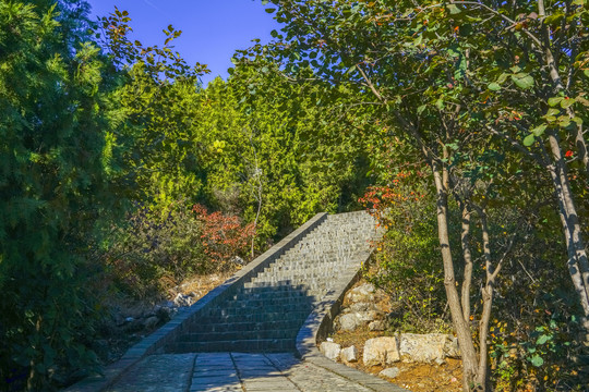 登山步道高清大图