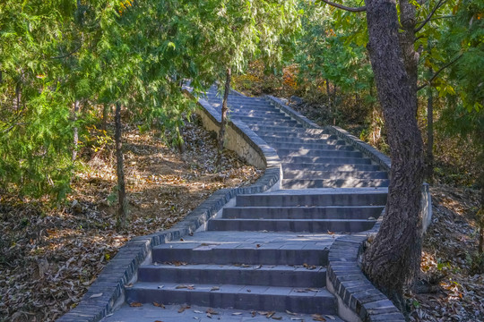 登山步道高清大图