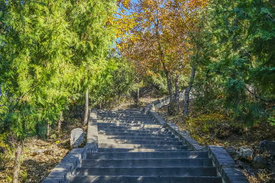 登山步道高清大图