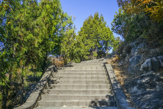 登山步道高清大图