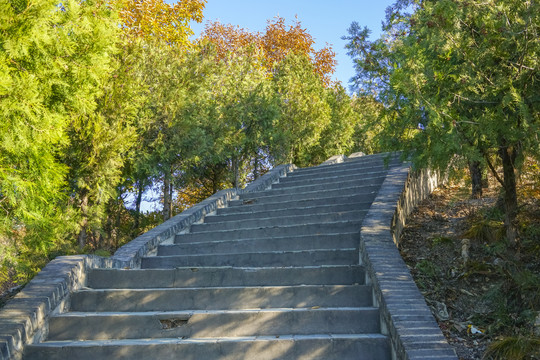 登山步道高清大图