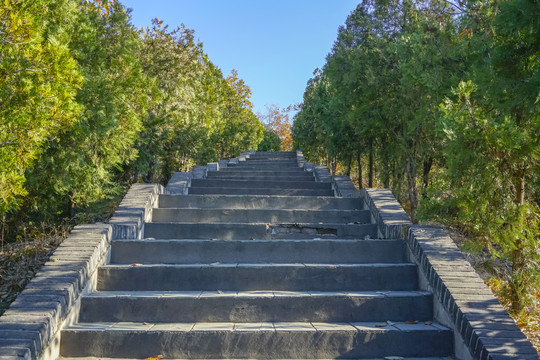 登山步道高清大图