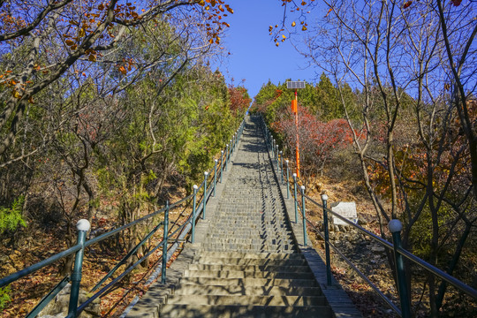 登山步道高清大图