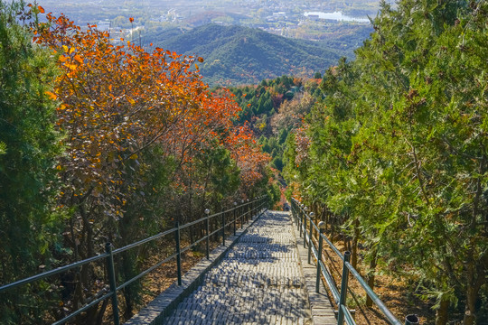 登山步道高清大图