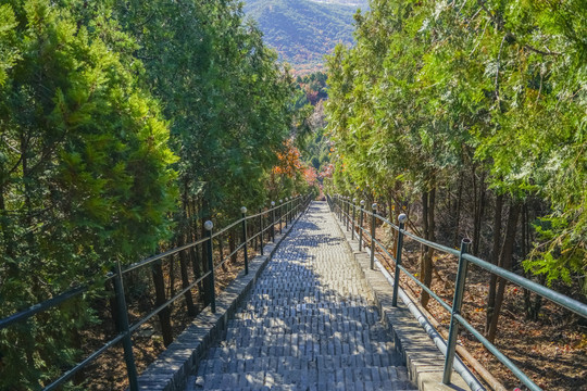 登山步道高清大图